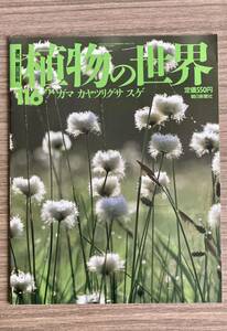 植物の世界 116 ガマ、カヤツリグサ、スゲ　週刊朝日百科　朝日新聞社