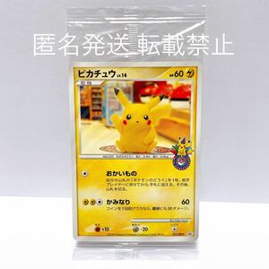 ポケモンセンター 限定 カード ポケモンカード ポケカ 101/DP-P ピカチュウ 10周年記念オリジナルカード ナゴヤ 名古屋 プロモ 非売品 希少