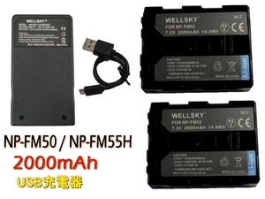 NP-FM50 NP-FM55H [新品] 互換バッテリー 2個 と Tyep-C USB 充電器 1個 純正品と同じよう使用可能 HDR-SR1 HDR-UX1 DCR-HC88 HDR-HC1