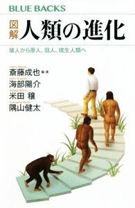 図解 人類の進化 猿人から原人、旧人、現生人類へ ブルーバックス/海部陽介(著者),米田穣(