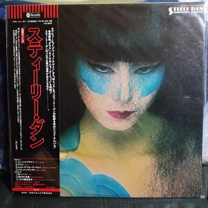 スティーリー・ダン　LP 山口小夜子　ジャケット盤