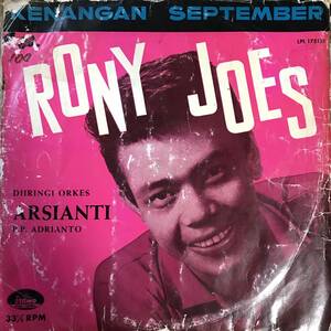 LP Indonesia「 Rony Joes 」Tropical Island Funky Garage Beat Pop Lounge 60