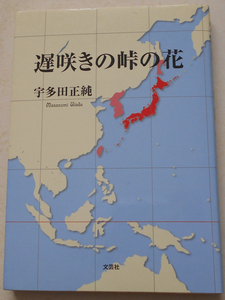 遅咲きの峠の花 宇多田正純