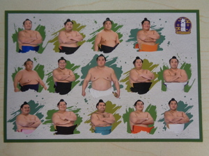 大相撲 ポストカード