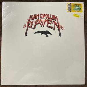 【Blues Rock名盤2LP】ジョン・チポリナJOHN CIPOLLINA RAVEN 2011 Vinyl Lovers Lilith San Francisco psyche Nicky Hopkins Quicksilver