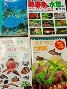 はじめての熱帯魚＆水草の育て方　他3冊