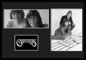 9種類!Carpenters/カーペンターズ/ROCK/ロックバンドグループ/証明書付きフレーム/BW/モノクロ/ディスプレイ(8-3W)