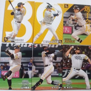 プロ野球チップス2024スターカード