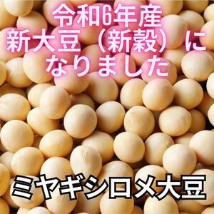 新穀! 毎年大好評の良質 大豆!ミヤギシロメ　低温保管 令和6年産10kg