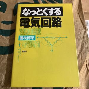 なっとくする電気回路 （なっとくシリーズ） 国枝博昭／著