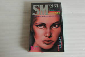 SMセレクト 1981年6月号 団鬼六 伏見和美 落合恵太郎 氷神琴二郎 枷井克哉 他　※難有