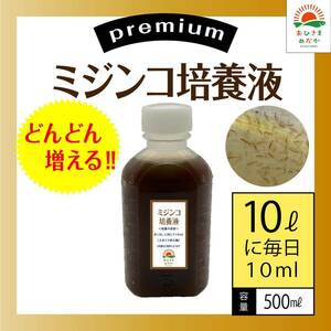 どんどん増える【ミジンコ培養液500ml】メダカ稚魚針子錦鯉金魚熱帯魚ゾウリムシめだかタマミジンコ オオミジンコ PSBとクロレラ併用可