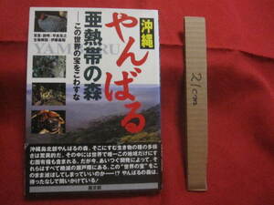 ☆沖縄　　やんばる　・　亜熱帯の森 　　　―　この世界の宝をこわすな 　　　　　　　【沖縄・琉球・自然・生物・環境・写真本】