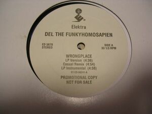 ●HIP HOP RAP 12”●DEL THE FUNKYHOMOSAPIEN / WRONGPLACE