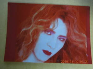 YOSHIKI 写真 ブロマイド 186 / X JAPAN