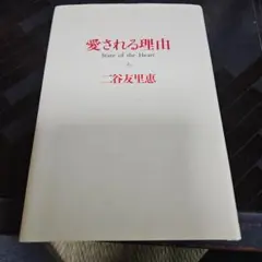 愛される理由 State of the Heart 二宮友里恵