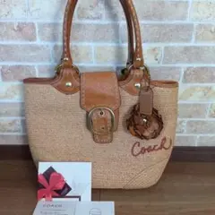 美品＆高品質【COACH コーチ バッグ レディース 】