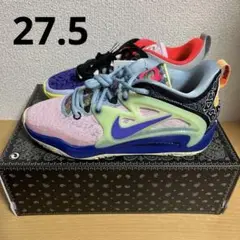 新品 NIKE KD15 NRG EP WHAT THE 27.5cm