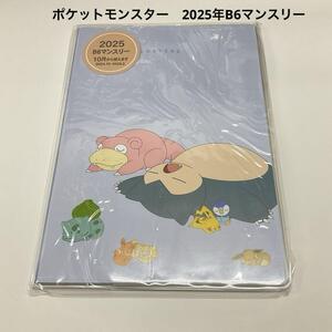 ポケットモンスター [2025年スケジュール帳]B6マンスリー おやすみタイム