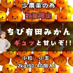 減農薬 小玉 有田みかん 2㎏ 産地直送 減農薬 ミカン 早生 蜜柑 和歌山