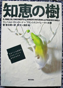 『知恵の樹　生きている世界はどのようにして生まれるのか』