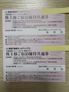 東急不動産 リゾートホテル 東急ステイ 宿泊優待共通券 2枚セット（最大9セット有） 有効期限8月末まで