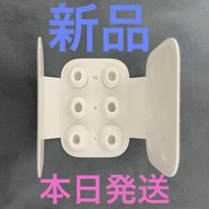 管理g0616 AirPods Pro Apple イヤーピース　イヤーチップ　正規品