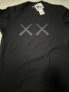 ユニクロ　Kaws tシャツ