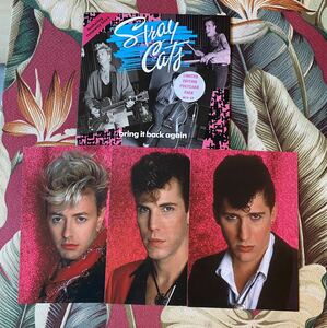 STRAY CATS 7inch BRING IT BACK AGAIN 3ポストカード付き ロカビリー ストレイキャッツ