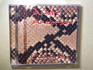 ※ アンドレ・アンダーセン　※ チェンジング・スキン　※ 国内盤CD ANDRE ANDERSEN ROYAL HUNT