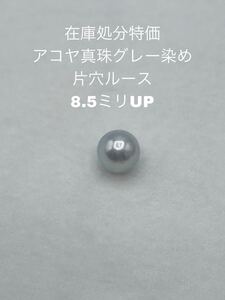 在庫処分特価　アコヤ真珠　グレー染め　8.5ミリUP 片穴ルース