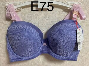 0786トリンプ AMO`SSTYLEブラジャーE75