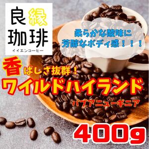 パプアニューギニア ワイルドハイランド 400g 自家焙煎 コーヒー豆 珈琲豆 スペシャリティ coffee beans