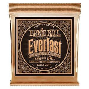 正規品 ERNIE BALL 2550 アコースティックギター弦 (10-50) EVERLAST COATED PHOSPH