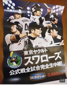 定形外送料無料　東京ヤクルトスワローズ　非売品　ポスター　石川雅規 　山田哲人　雄平