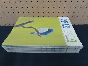 K00/野鳥 1982年4月　他　いろいろまとめてセット●日本野鳥の会