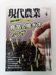 現代農業 2021年 4月号 育苗＆接ぎ木のワザ 密播・密苗 お悩み相談室 タマネギのセット栽培 種苗法改定 農山漁村文化協会 240627