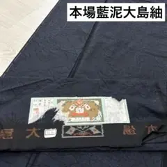 本場 藍泥 大島紬 横双 着物 正絹 証紙付き しつけ糸 広衿 RK-1861