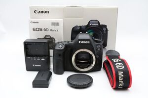 ☆ショット数33,737回☆CANON EOS 6D Mark II ボディ EOS6DMK2■極上品■