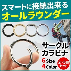 カラビナ 丸型 サークルカラビナ ゴールド 2個セット 内径:31mm 外径:41mm