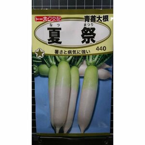 ３袋セット 夏祭 青首 大根 ダイコン 種 郵便は送料無料