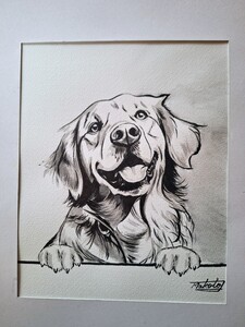 水墨画　Golden Retriever 