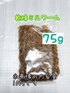 乾燥ミルワーム75g 高淡白 小動物 爬虫類 両生類 ハムスター ハリネズミ