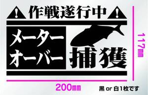 釣り　ステッカー 「メーターオーバー捕獲作戦遂行中！　ブリVer.」　　ダイワ　シマノ　がまかつ　切り文字