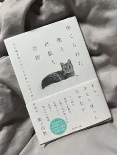 捨てられた僕と母猫と奇跡