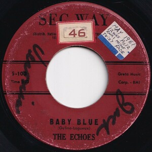 Echoes Baby Blue / Boomerang Seg-Way US S-103 206205 ROCK POP ロック ポップ レコード 7インチ 45