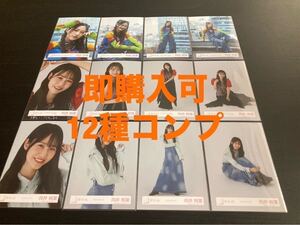 向井純葉　櫻坂46 引きこもる時間はない　MV衣装+4th ARENA TOUR 2024 ライブ衣装+ワイシャツコーデ　ランダム生写真　12種コンプ