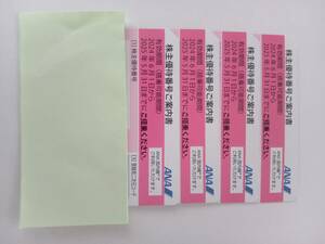 ANA株主優待券　4枚1組　有効期限（2024/06/01～2025/05/31）　