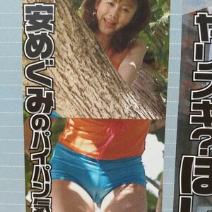  お宝 セクシーショット ほしのあき 安めぐみ さとう珠緒 井川遥 切り抜き 1ページ / 名波はるか 木内晶子 眞鍋かをり 切り抜き 1ページ