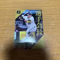 オリックス・バファローズ 杉本裕太郎 カード